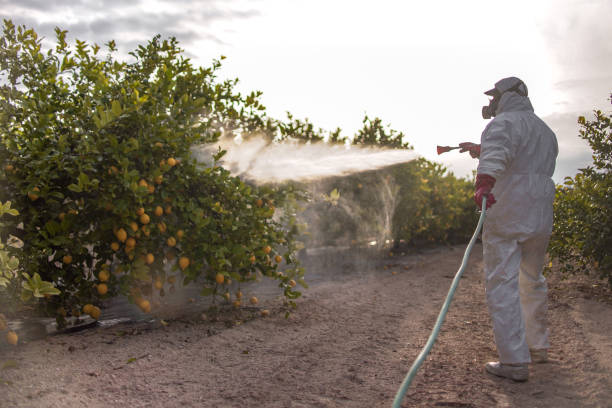 Trusted Canon, GA Pest Control Experts