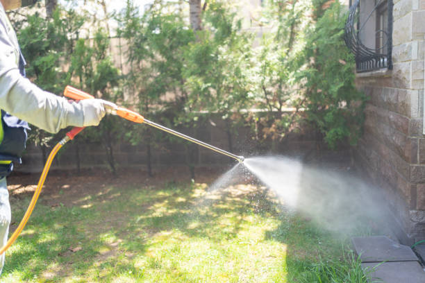 Best Pest Prevention Services  in Canon, GA