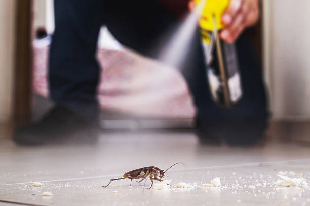  Canon, GA Pest Control Pros