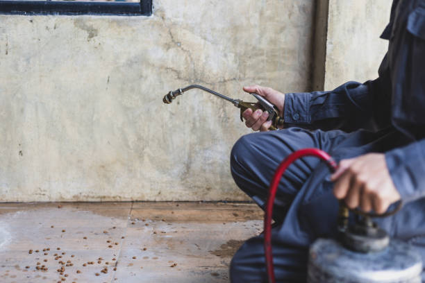 Best Exterminator Services  in Canon, GA