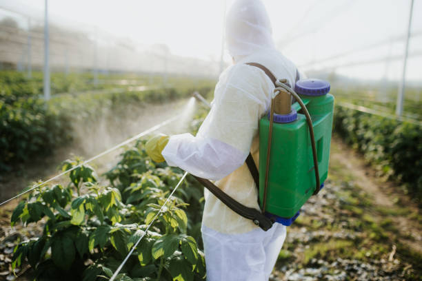 Best Pest Control Near Me  in Canon, GA